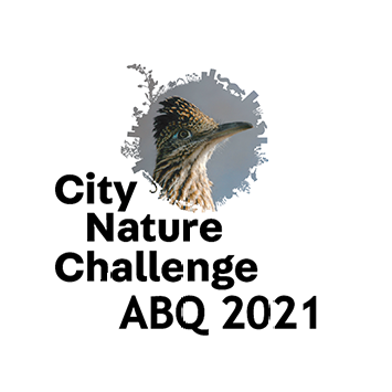 Photo: City Nature Challenge 